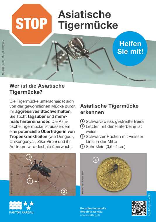 2024.08.23 Flyer Tigermücken Seite 1